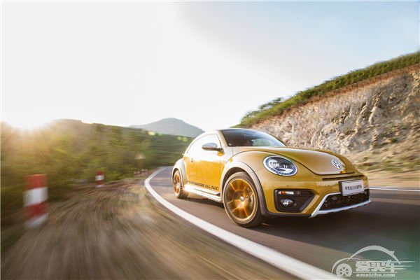 炫动今夏 尽情“撒欢” 与甲壳虫沙丘越野版一同 开启属于你的完美假期