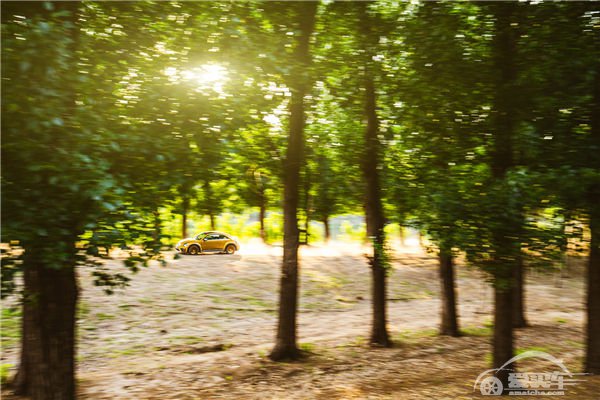 炫动今夏 尽情“撒欢” 与甲壳虫沙丘越野版一同 开启属于你的完美假期