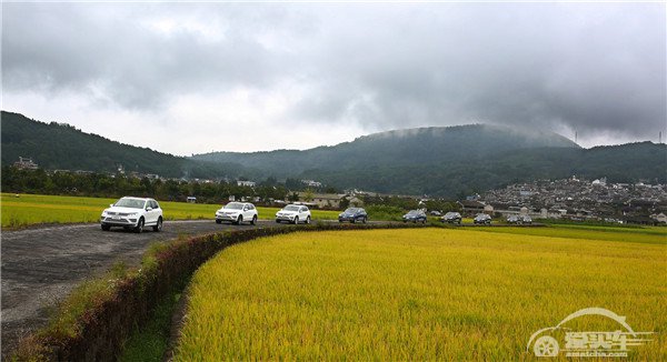 热浪来袭 谁可抵挡 大众进口汽车新途锐带您舒享夏日行车