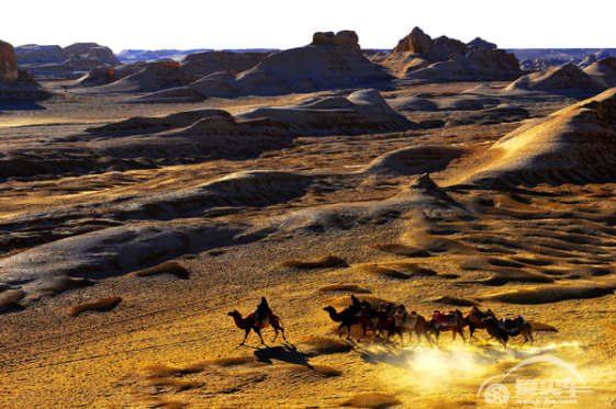 出征在即！名爵锐腾挑战天山十八弯