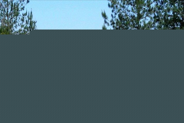 墨西哥超跑官图发布 今年年底正式量产