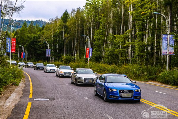 2016奥迪quattro杯高尔夫锦标赛中国区总决赛圆满落幕