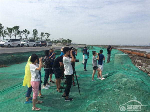 让候鸟飞！ 考察2015“福特汽车环保奖”一等奖项目