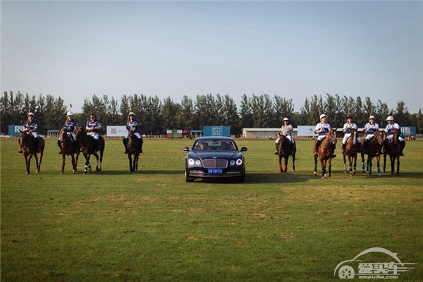 宾利汽车助阵英国马球日 演绎奢华英伦风范
