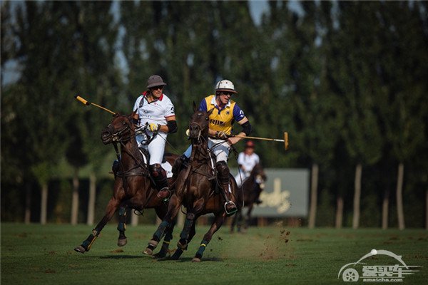 宾利汽车助阵英国马球日 演绎奢华英伦风范