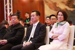  董小姐 王健林入股珠海银隆 增资30亿誓造车 