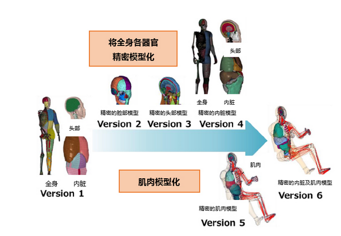 丰田汽车公司将无偿公开虚拟人体模型 “THUMS”