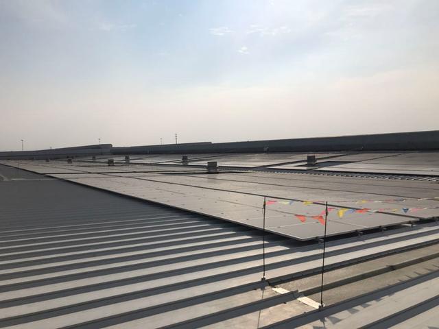  福特汽车发布可持续发展年报，计划2050年之前实现碳中和 