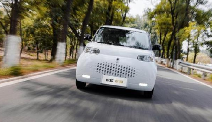 长城白猫出发＂拆家＂开启卖萌模式，铲屎官们