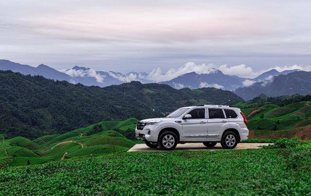 用户共创？哈弗探索运营新模式，＂弗茶＂品牌