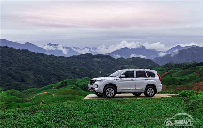 哈弗探索用户运营新模式  用户共创首推“弗茶”品牌