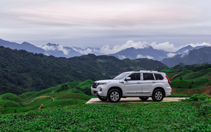  哈弗探索用户运营新模式 用户共创首推“弗茶”品牌 