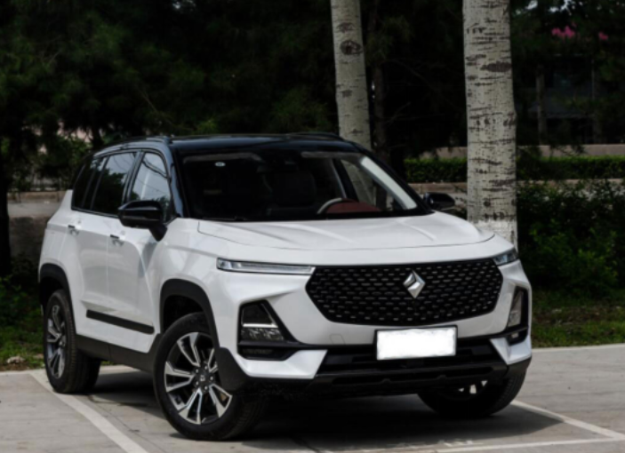 新宝骏RS-5 300T新车怎么样？车主提车一个月，动