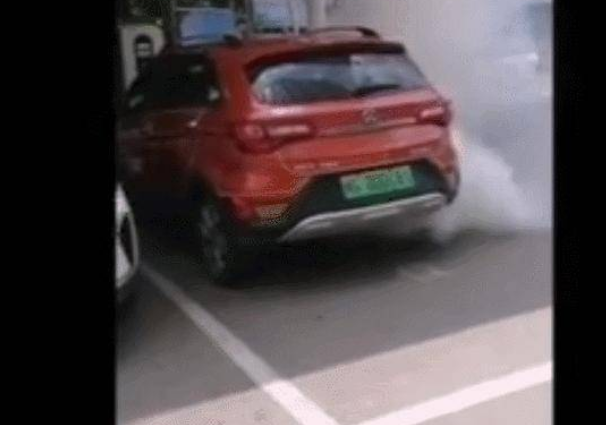  两地连发新能源车安全事故；红旗E-HS9开启盲订 