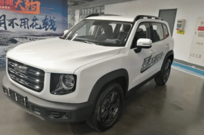  哈弗大狗还没上市，WEY品牌又推出一款全新小型SUV 