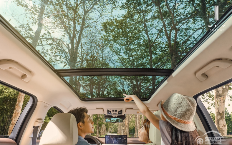 脑力爆棚，VV6以智能科技守WEY驾乘安全