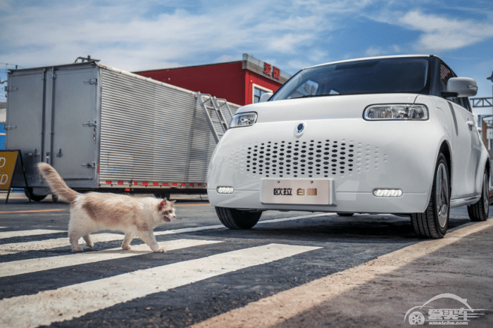 哈弗品牌8月销售56,128辆，同比上涨11.7%