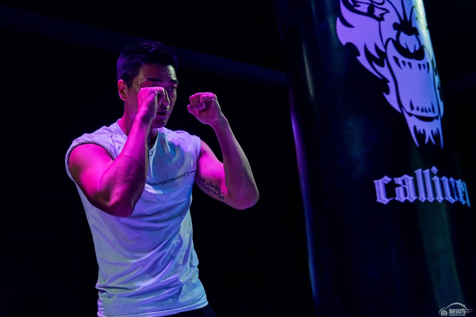 这些国产SUV表面风光的背后，走得却很艰辛