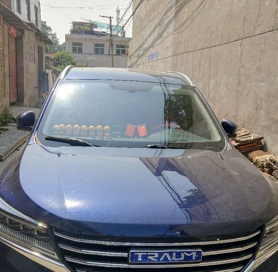  26万买的唐DM，一年后想卖你猜多少？车主提醒：买车别太随便 