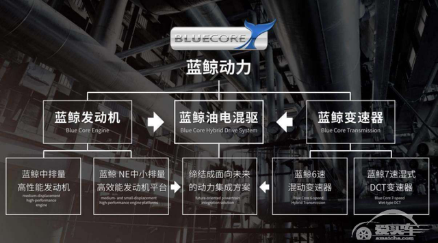 超长直播 长安汽车蓝鲸发动机挑战吉尼斯纪录