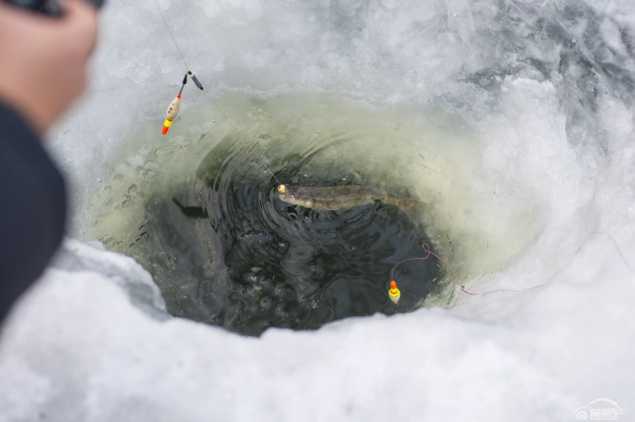 在雪地里露营需要什么准备？只要一台生活家V90就够了