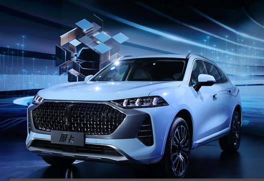  48V支持纯电蠕行，全系混动配固态激光雷达，WEY摩卡开启全球首秀 