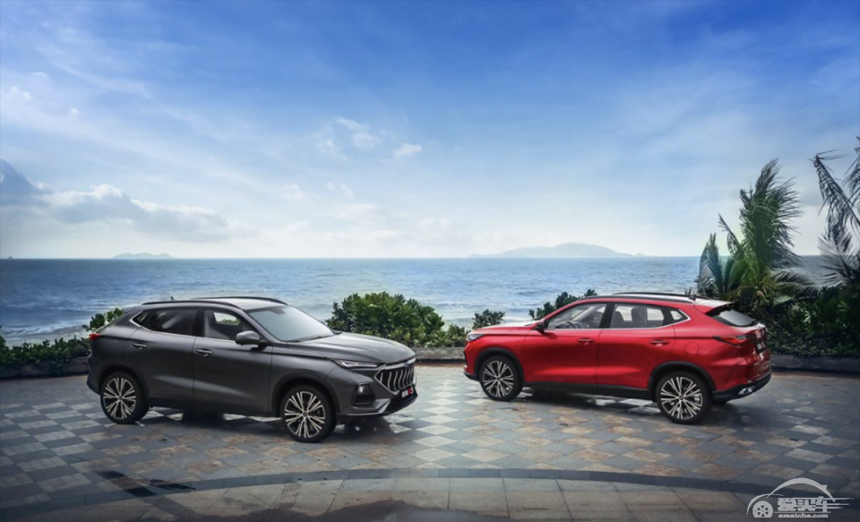 自主品牌的2020：上有红旗，下有捷途，中产死命内卷