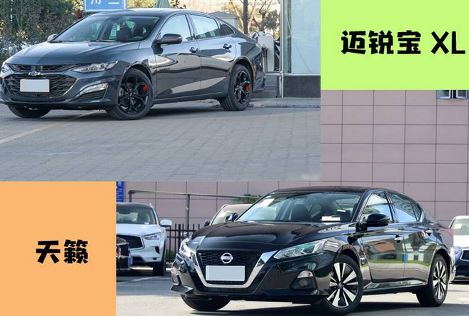 两款高性价比B级车该怎么选？仔细研究后结果一