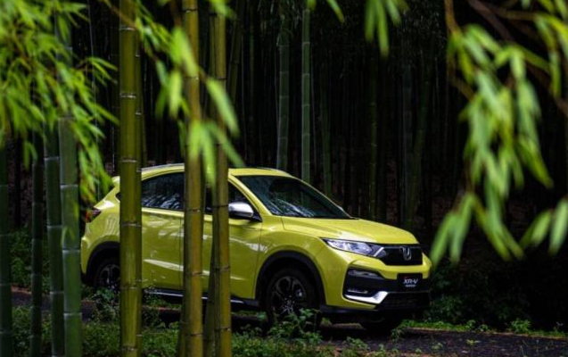  与春天深情拥抱 为何要选择3分钟卖出一辆的XR-V？ 