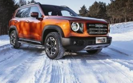  大狗到底野不野？ 