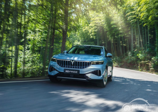 43天，岚图FREE大定订单数量达3689辆