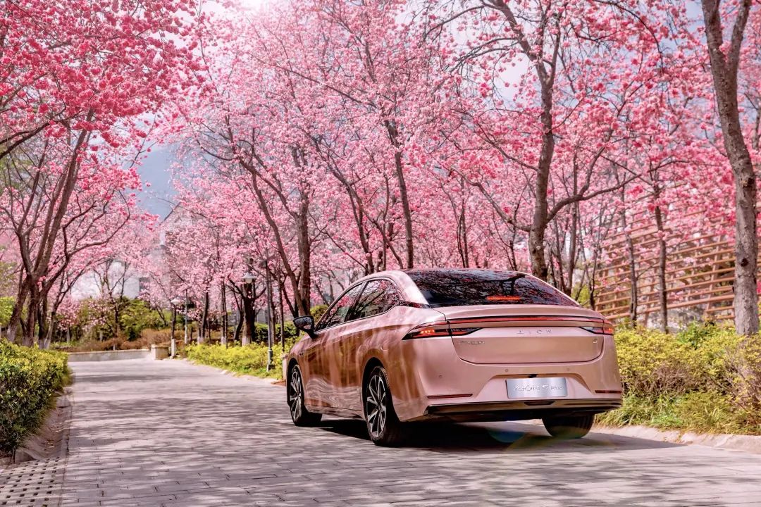 10月新势力交付：埃安再破3万辆，小鹏腰斩，岚