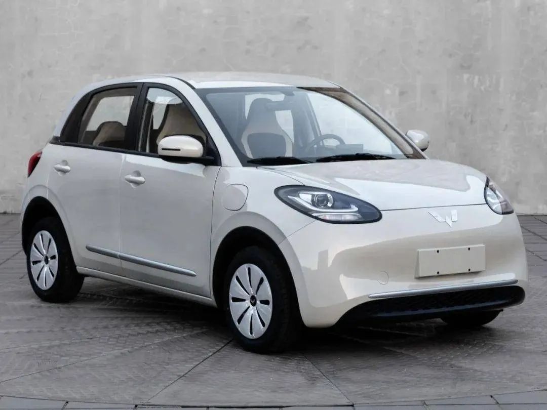 玩复古、堆配置、去越野，十万级纯电新车开启