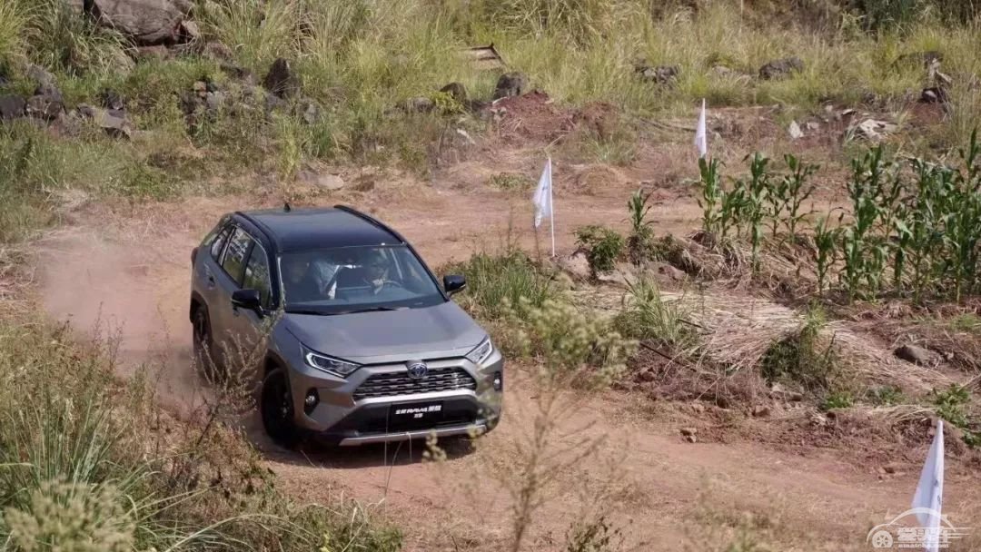 一生人买两次丰田RAV4？车主阿炽表示还真有可能