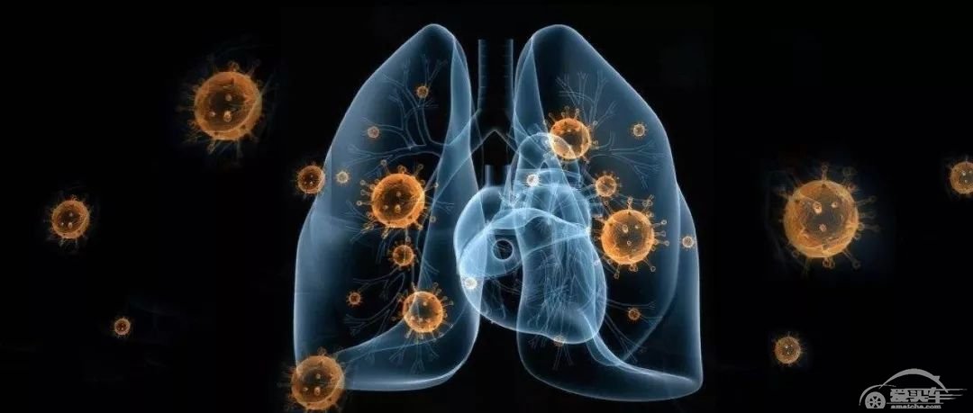 复工后开车上班，开启车内空气净化系统就能过滤病毒吗？