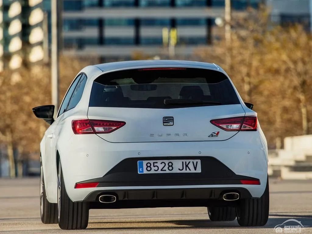 大众2020年展望：电动化成主旋律，西雅特引入计划放缓