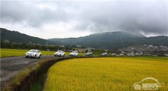  热浪来袭 谁可抵挡 大众进口汽车新途锐带您舒享夏日行车 