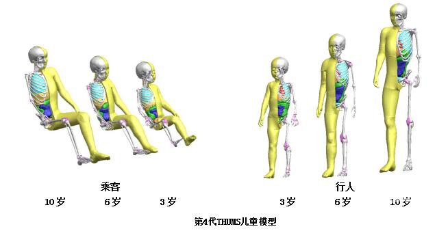 丰田汽车虚拟人体模型THUMS新增儿童模型