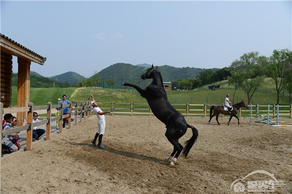 奏响家庭欢乐颂新夏朗“家庭欢乐时光”体验之旅幸福启航