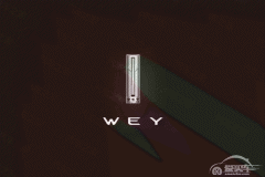  中文名叫“魏派”，长城全新品牌WEY发布 