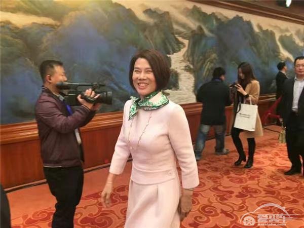董小姐 王健林入股珠海银隆 增资30亿誓造车