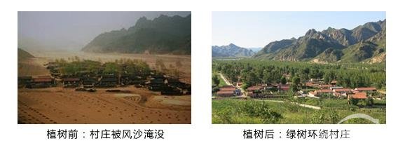 持续酿造丰田公益之蜜 “丰蜜行动”全新环境项目正式启动