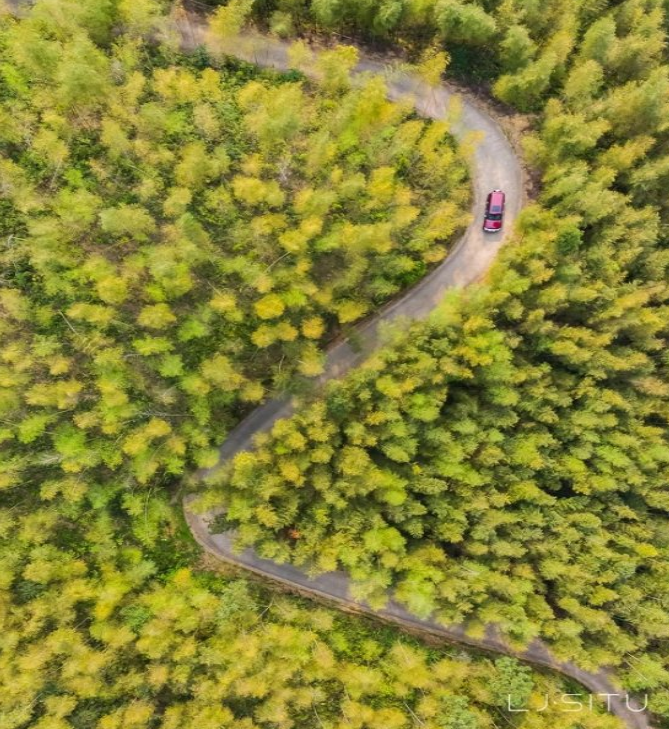  转动好时节 | 2020款帕杰罗“氧吧”呼吸之旅 