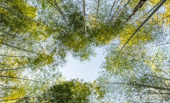 转动好时节 | 2020款帕杰罗“氧吧”呼吸之旅