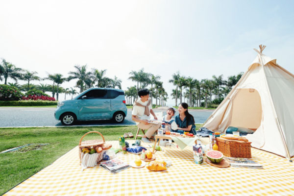  名副其实人民代步车，宏光MINI EV配置信息曝光 