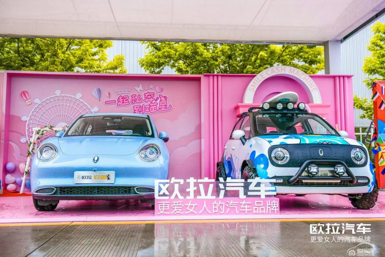 奔跑吧，欧拉！与“喵星人”一同私奔，欧拉马拉松正式开跑