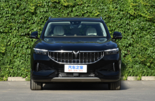  电车时代的玛莎拉蒂，买岚图FREE立省100万 