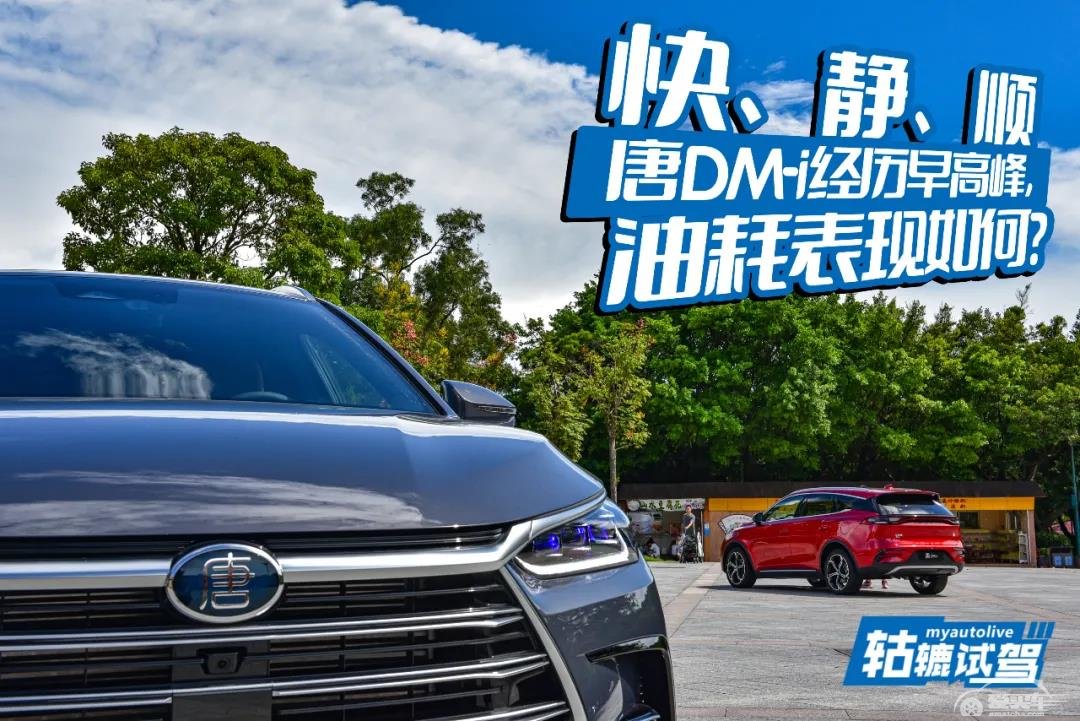 有电龙，没电虫？比亚迪唐DM-i不认同！
