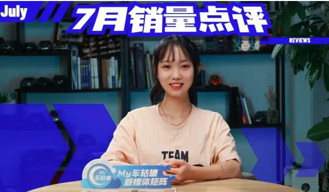  7月销量点评：比亚迪继续领跑，合资品牌增势猛 