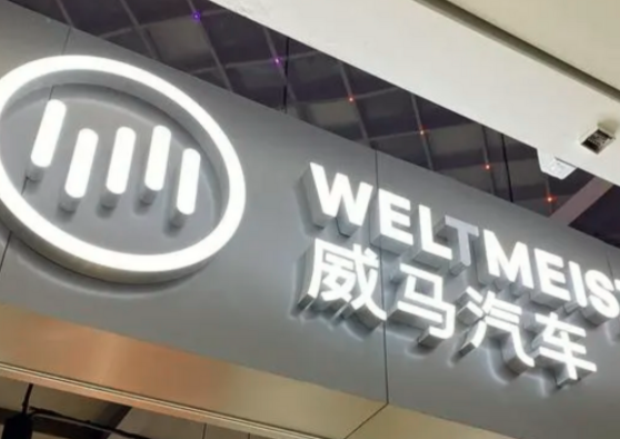  缺钱、毛利低、冲高遇瓶颈，那些一地鸡毛的新势力 